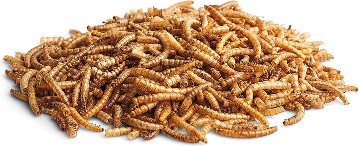 Produktbild Bunny Lust auf Natur - Das wurmt Mehlwürmer Eco (0.04 kg, 1 x)