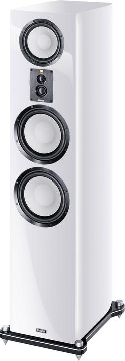 Actual product image Magnat Signature 809 (1 pair)