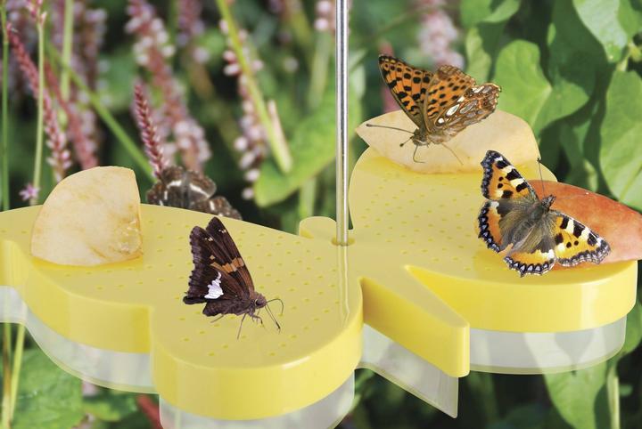 Actual product image Best for Birds 2 in 1 feeding bowl and watering trough for butterflies