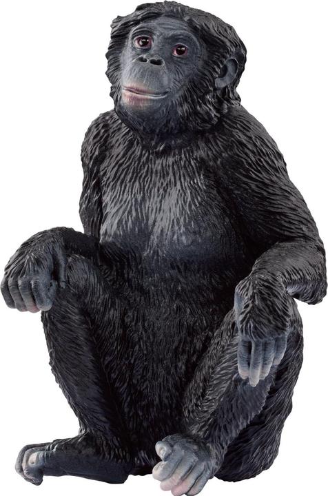 Actual product image Schleich Bonobo female