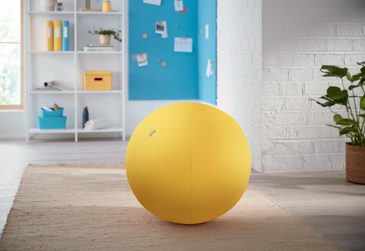 Image du produit Leitz Ballon-siège Ergo Cosy Active (65 cm)