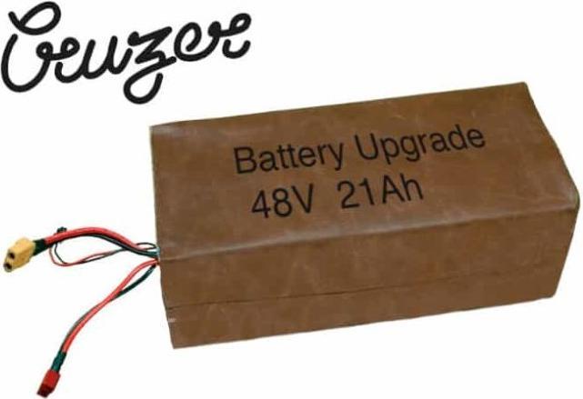 Rayvolt RAY Dual Battery 48V - 21Ah Cruzer (E-Bike battery)