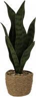 Produktbild IKO Grünpflanze (34 cm)