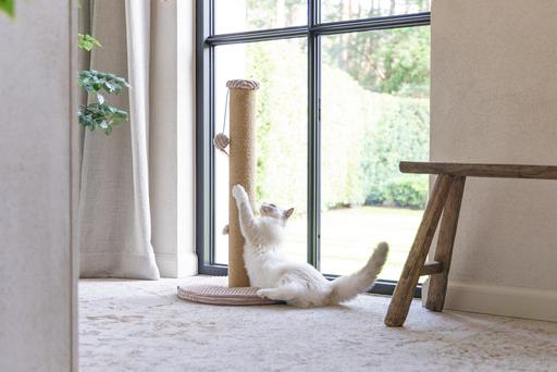 Actual product image Designed by Lotte Scratching post (70 cm, Rose)