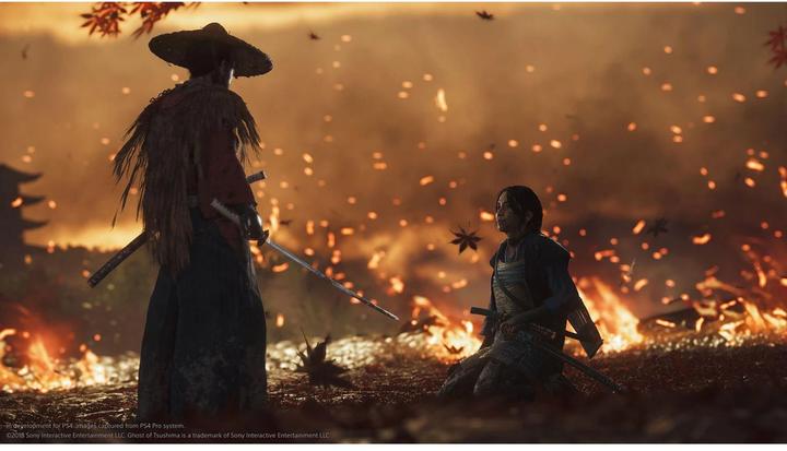 Actual product image Sony Ghost of Tsushima Director’s Cut (PS4, Multilingual)