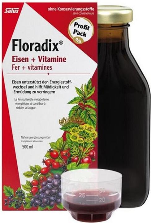 Actual product image Floradix Iron (1 Piece, Liquid, 600 g)