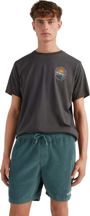 Image du produit O'Neill hort camorro cord (S)