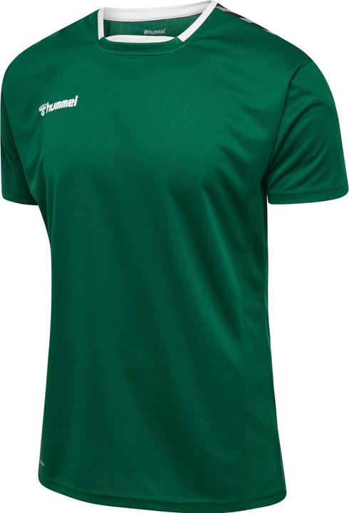 Sempreverde