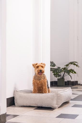 Actual product image Designed by Lotte Ribbed divan bed (Dog)