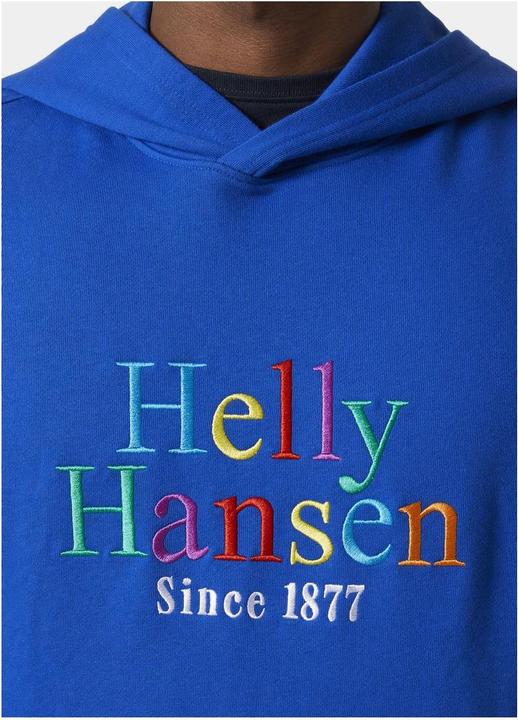 Produktbild Helly Hansen Core Graphic Sweat Hoodie (L)