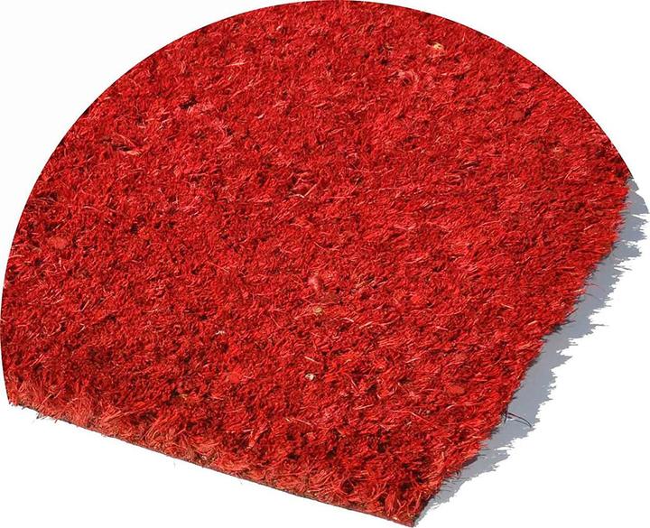 Immagine prodotto Casativo Zerbino a forma di cuore in fibra di cocco, 55 x 55 cm (55 x 55 cm)