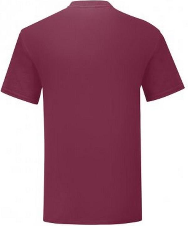 Image du produit Fruit of the Loom T-shirt Iconic (M)