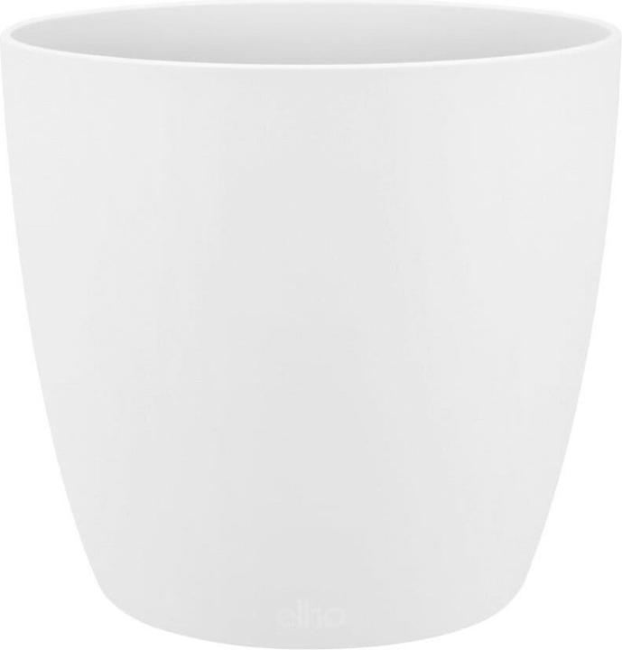 Image du produit Elho Bruxelles (24.30 cm)