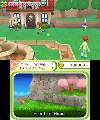 Actual product image Nintendo Harvest Moon: Skytree Village (3DS)