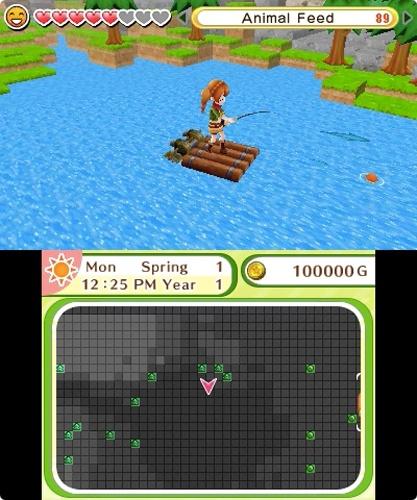 Actual product image Nintendo Harvest Moon: Skytree Village (3DS)