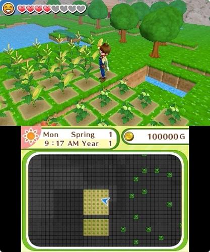Actual product image Nintendo Harvest Moon: Skytree Village (3DS)