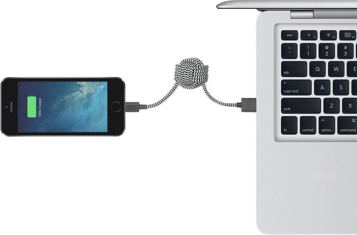 Actual product image Native Union key cable (0.10 m, USB 2.0)