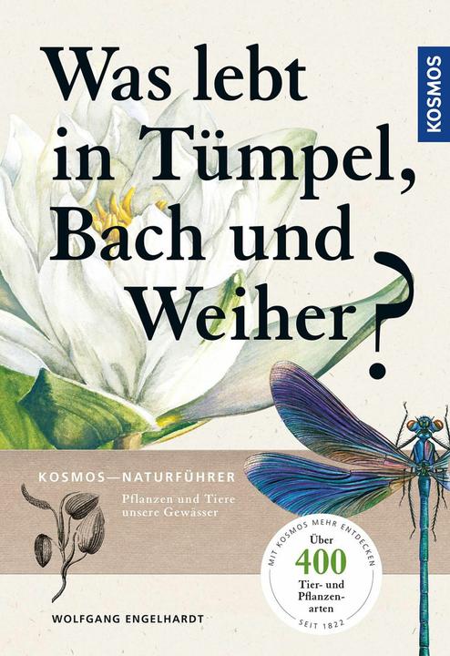 Actual product image Kosmos Was lebt in Tümpel, Bach und Weiher? (German, Peter Martin, 2020)