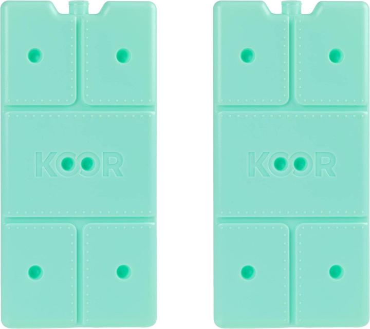 Koor Kühlelement Arctico L, Doppelpack Mint