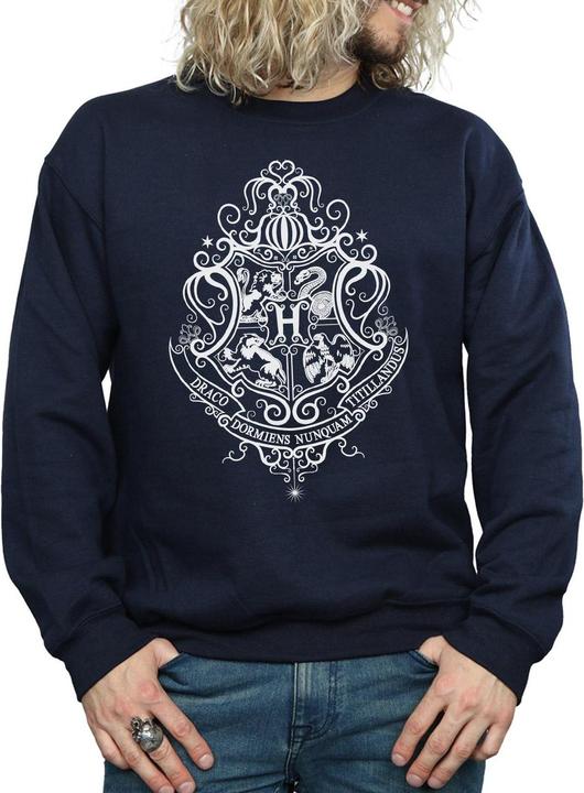 Actual product image Mens Hogwarts Draco Dormiens Crest Sweatshirt (S)