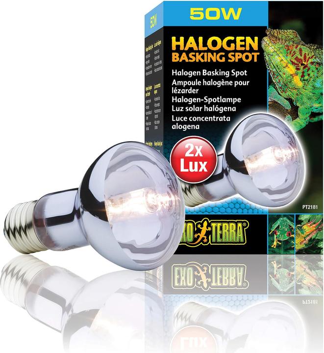 Image du produit Exo Terra Sun Glo lampe halogène lumière du jour 75W (UVB, UVA)
