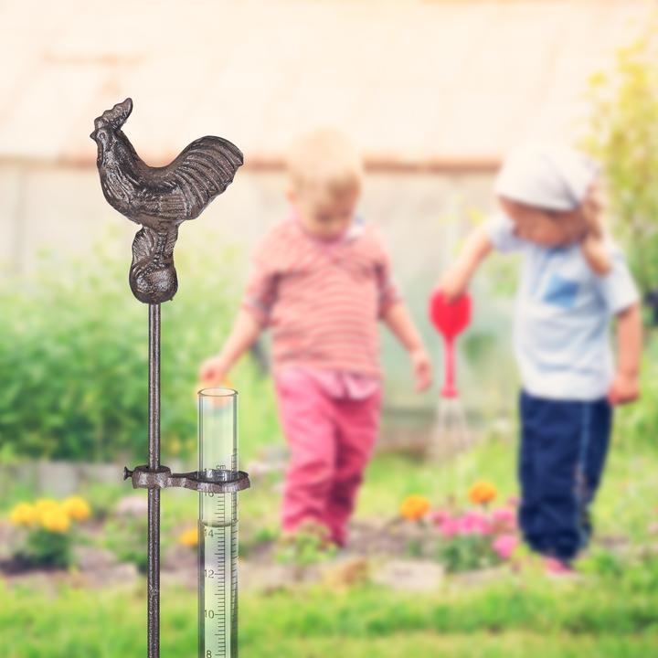 Actual product image Relaxdays Rain Gauge Cockerel