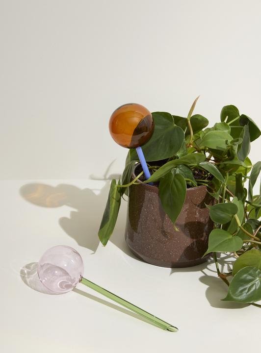 Produktbild Hübsch Flora Aqua globe (Bewässerungskugeln)
