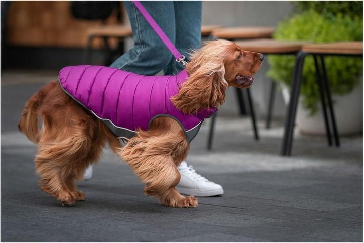 Image du produit Red Dingo Manteau pour chien Puffer 50 cm rose/violet (Manteau pour chien)