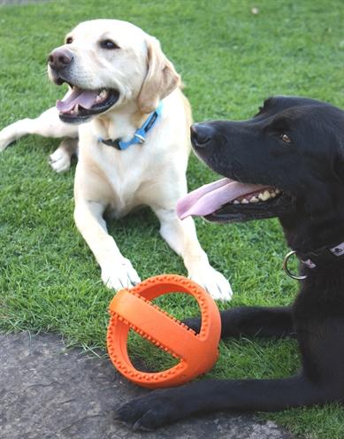 Immagine prodotto Happy Pet Grubber Interactieve Voetbal Oranje (Reperimento)