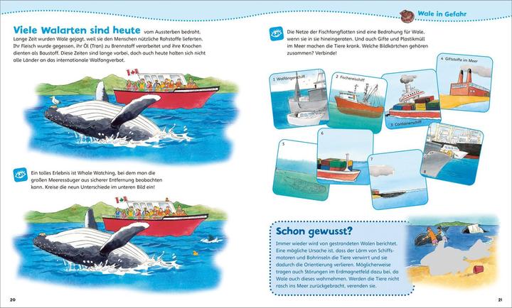 Productafbeelding Tessloff WAS IST WAS Junior hands-on boekje. Walvissen en dolfijnen. Spelletjes, puzzels, stickers
