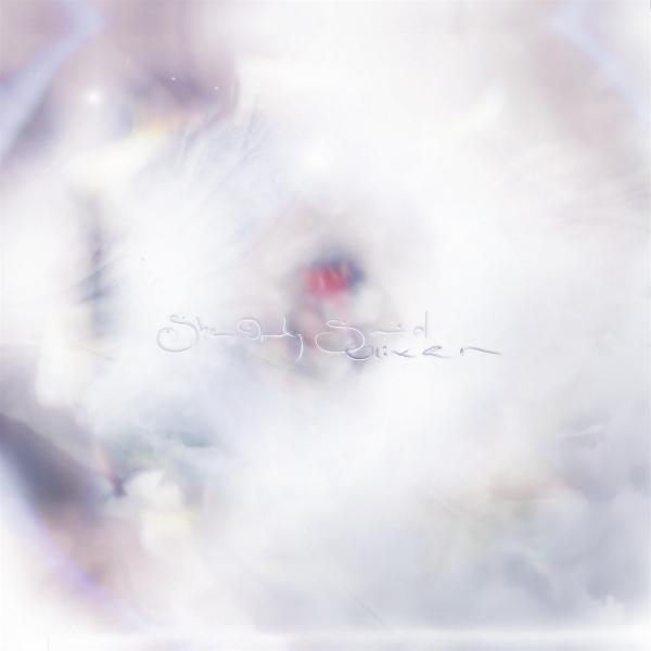 Produktbild SHE ONLY SAID (COLV) (RED) (Glixen)
