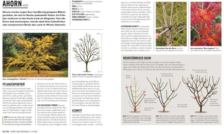 Produktbild Grünes Gartenwissen. Pflanzen richtig schneiden (Deutsch, Stephanie Mahon, Reinhard Ferstl, DK Verlag, 2022)