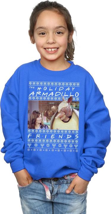 Image du produit Friends - Sweat FAIR ISLE HOLIDAY ARMADILLO - Fille (152, 158)