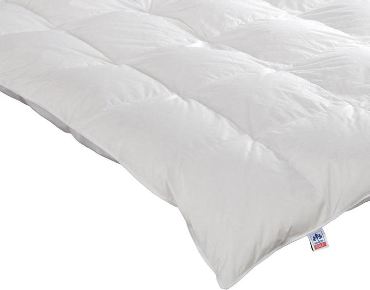 Immagine prodotto Irisette Piumino Nora a cassetta extra caldo (1370 g, 155 x 200 cm)