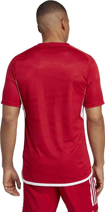 Produktbild adidas Tiro 23 Club Trikot Herren (M)