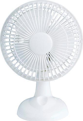 Actual product image Salco Table Fan