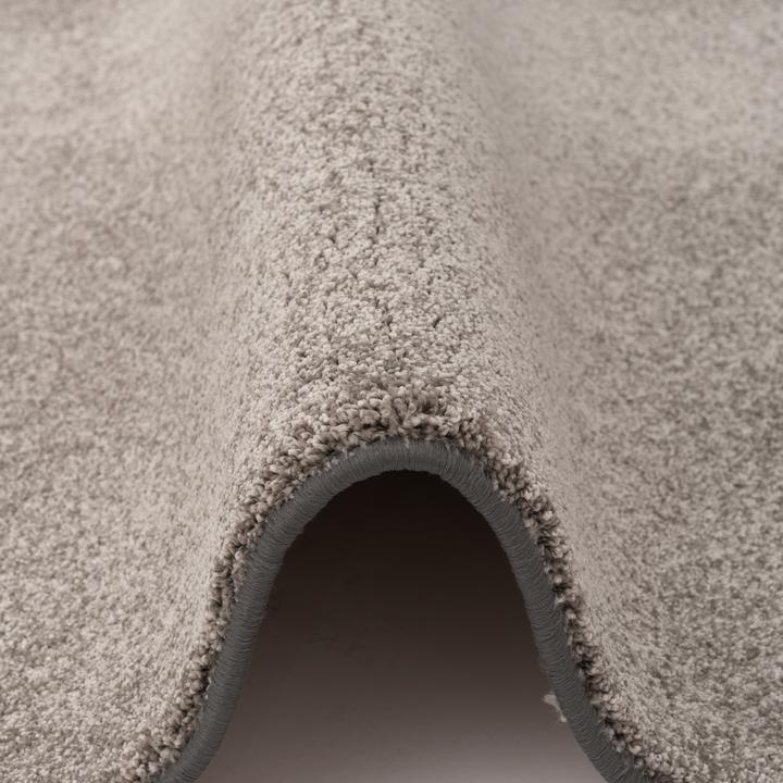 Produktbild Snapstyle Hochflor Luxus Velours Teppich Touch (100 x 300 cm)