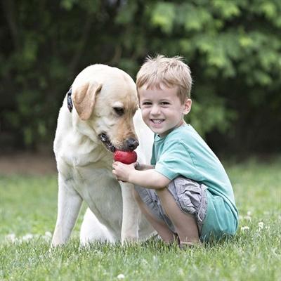 Actual product image KONG Classic (Retrieval, Dog food toy, Dog chew toy)