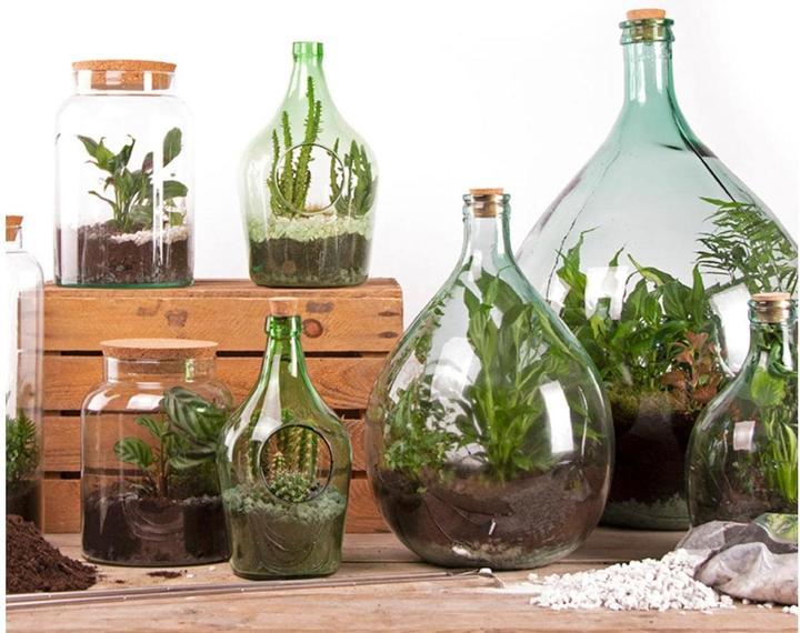 Produktbild Esschert Design Terrarium Flasche S