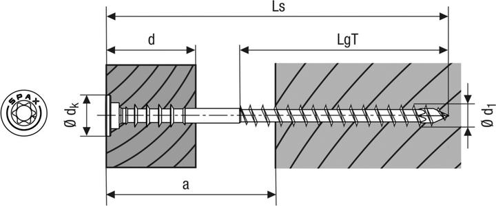 Actual product image Spax Adjustment screws (100 Screws per piece)