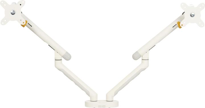 Bakker Elkhuizen BNEBFDW BAKKER BE Flexible Monitorarm (Tisch, 35")
