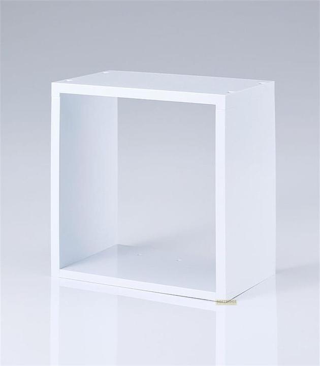 Actual product image Good Smile Company Nendoroid More Accessories Wall Guy (white)
