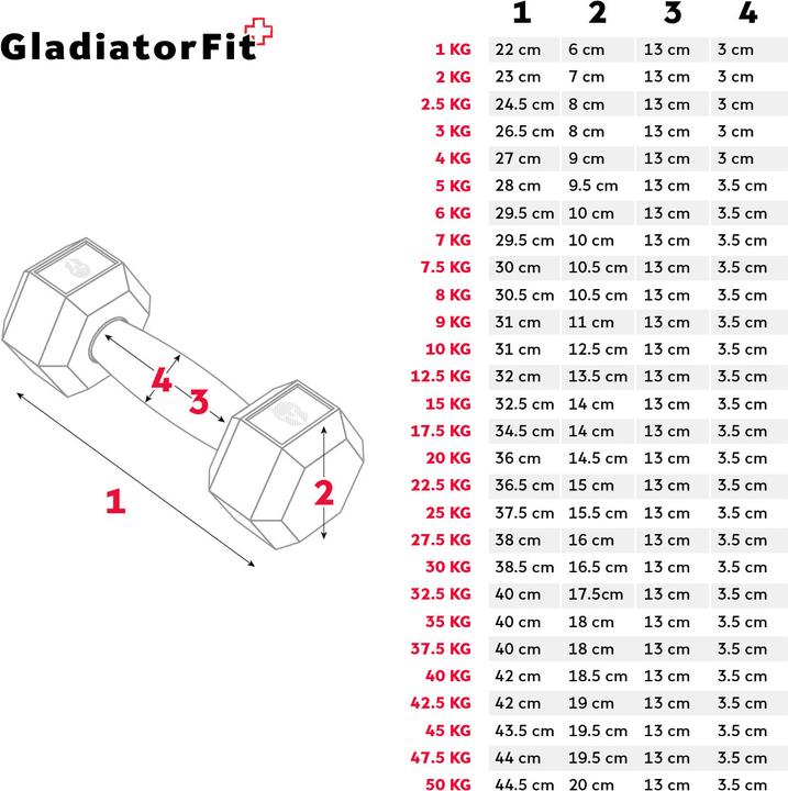 Immagine prodotto Gladiatorfit Manubrio esagonale (1 x 1 kg)