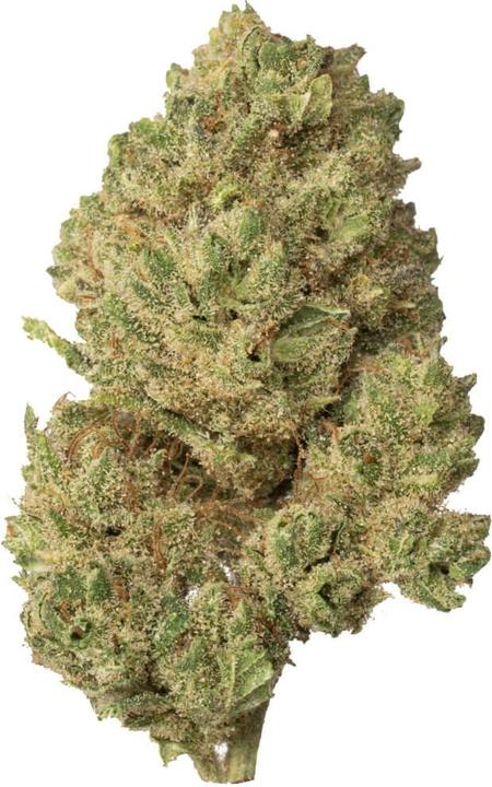 Immagine prodotto Hi Lab Silver Haze (100 g, Interno)