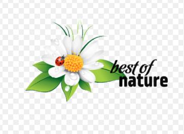 Image du produit Natura Grüne Linsen 1 kg (1000 g)
