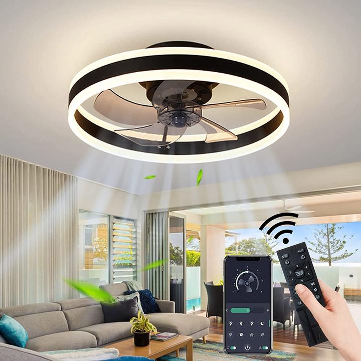Image du produit Eidisuny Ventilateur de plafond avec éclairage (28 dB)