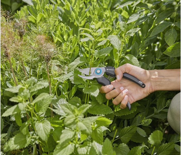 Image du produit Gardena EcoLine