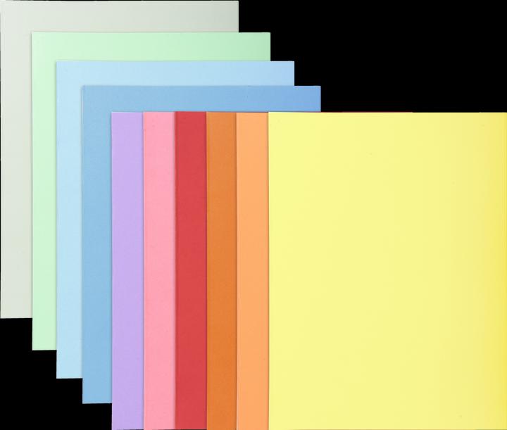 Actual product image Exacompta Collection folders - File covers (A4, 10 x)