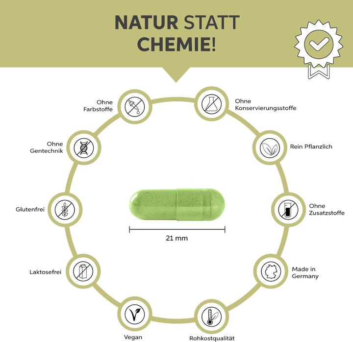 Produktbild Eltabia Bio Moringa Kapseln | 100% rein ohne Zusätze (1000 Stück, Kapseln)