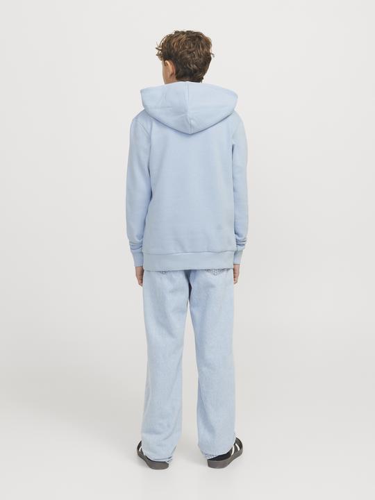 Actual product image Jack & Jones Jjecaleb Varsity Sweat Hood Noos Jnr (164)